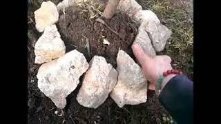 PERMACULTURE PLANTER UN ARBRE FRUITIER ARBORICULTURE MICRO FERME BIOLOGIQUE LIMOUSIN [upl. by Nahtannhoj]