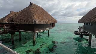 Hilton Resort and Spa in Moorea Over water Bungalow in the French Polynesia [upl. by Esra316]