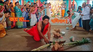 Durgapujo 2024  মহাঅষ্টমীর বলিদান 🙏🙏 ।। Mohaashtomir Bolidan ।। durgapujo [upl. by Buffum549]