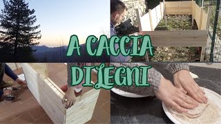 VLOGMAS  dal VETERINARIO per FLORA ORTO RIALZATO e BAULE NUOVO [upl. by Ateiram]