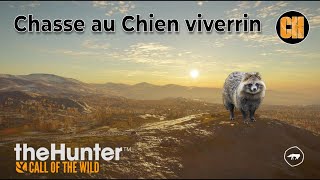 THE HUNTER CALL OF THE WILD  Chasse au Chien Viverrin [upl. by Casar]