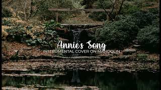 Annies Song  Mandolin Cover [upl. by Puto218]