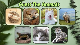 Guess The Animals In 5 Seconds  Ultimate Animal quiz  Name The Animals [upl. by Erund994]