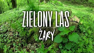 ŻARY  ZIELONY LAS i TRZY WIEŻE [upl. by Itaws264]