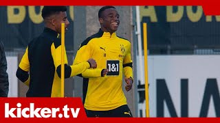 Labbadia über Moukoko quotEr weiß wo das Tor steht da ist das Alter absolut egalquot  kickertv [upl. by Mackey]