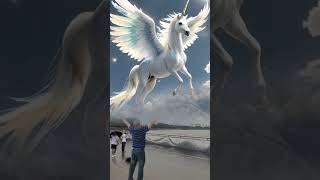 Wow look there is a flying horse in the sky Is this the legendary Pegasus The scene is so sh [upl. by Deane971]