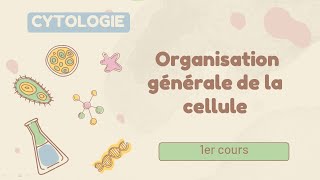 Cytologie  Organisation générale de la cellule  cours de 1er année medecine [upl. by Malarkey]