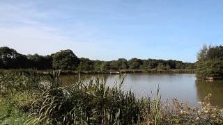 HIGHAMPTON LAKE HIGHAMPTON HOLSWORTHY DEVON [upl. by Gonta564]