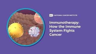 Immunotherapy How the Immune System Fights Cancer [upl. by Atcliffe]