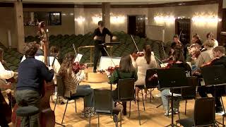 5：TchaikovskySerenade for strings op48 [upl. by Osanna]