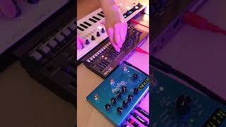 Roland JX08 with BigSky [upl. by Sarena117]