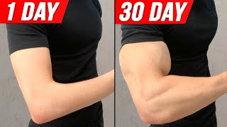 Get Bigger Arms In 30 DAYS   Home Workout [upl. by Berry]