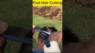 ASMR Fast Haircut Transformation with barber is old asmrbarber haircut acmp asmreating [upl. by Venterea]