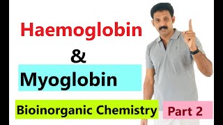 Myoglobin  Structure and function  oxygen binding kinetics [upl. by Valerie]