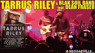 Tarrus Riley amp Blak Soil Band  Superman in Dortmund Germany October 2nd 2014 [upl. by Roanne]