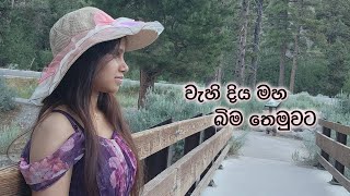 Wahi Diya Maha Bima Themuvata  වැහි දිය මහ බිම තෙමුවට  Cover by Uththama Yasangi [upl. by Iveson]