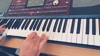 KORG PA700 Najwa Karam Ana ma fiye keyboard tutorial [upl. by Hickie5]