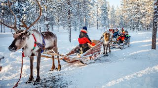 BBC Travel Show  Finnish lapland week 51 [upl. by Nahtad]