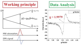 Electron paramagnetic resonance data analysis Calculation of gfactor  21 [upl. by Farris50]