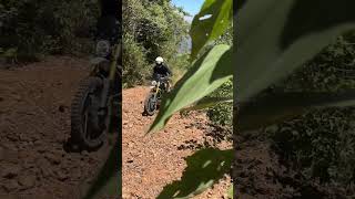 Triumph Scrambler 1200 XE in the woods triumphscrambler1200xe [upl. by Aidua]