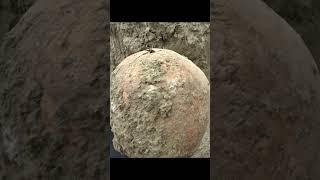 German soldier found with bullet still in head  WWII exhumations  keyhole entry [upl. by Nerahs]