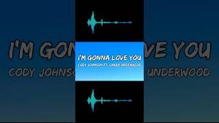 Im Gonna Love You Lyrics [upl. by Annelak586]