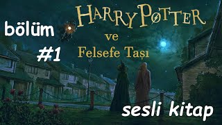 Harry Potter ve Felsefe Taşı birinci bölüm Sağ Kalan Çocuk sesli kitap [upl. by Reave81]