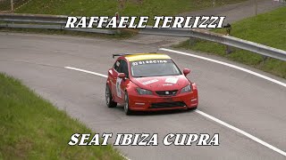 SALITA PEDAVENA  CROCE DAUNE 2024  RAFFAELE TERLIZZI  SEAT IBIZA CUPRA  BY BELLUNOVIDEO [upl. by Inessa]