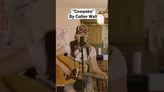 “Cowpoke” by Colter Wall cover [upl. by Dlared]