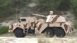 Thales  RAPIDFire 40mm MultiRole GroundBased Gun System 720p [upl. by Evilc]