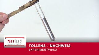 Die TollensProbe  Experiment für den Unterricht Chemie [upl. by Lichtenfeld]