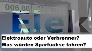 Abenteuer Elektroauto 25 Elektro vs Verbrenner  Was würden Sparfüchse fahren 🤔😁 [upl. by Nosned734]