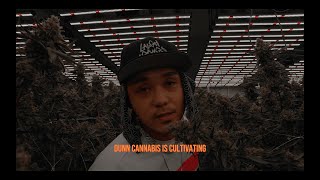 CHESTA  栽培 Saibai feat DUNN CANNABIS Official Video [upl. by Anorahs35]