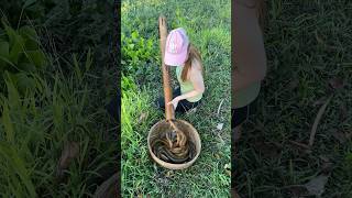 Survival fish trapping skills to catch giant eel fish [upl. by Ainaled]