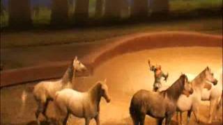 CAVALIA SCENE 15wmv [upl. by Hirsch]