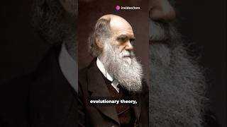 Evolutionary Theory of Life [upl. by Foster]