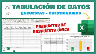 Excel  Tabulación de datos de una encuesta  Para tesis proyectos de aplicación e investigación [upl. by Tegdirb]