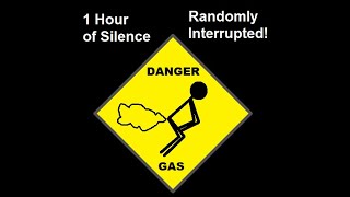 1 Hour of Silence Randomly Interrupted by Farts [upl. by Carhart]