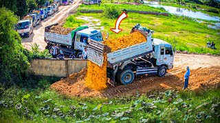 Nicely New Project Landfill in flooded area Bulldozer KOMATSU D31P amp 5Ton Truck Pushing Stone [upl. by Murdoch355]