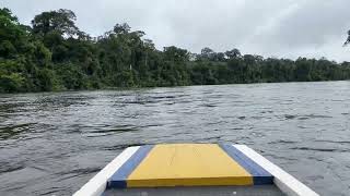 Boat ride in the Amazon [upl. by Howe]