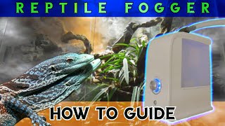 The complete Reptile Fogger DIY guide – what you need to know [upl. by Nicoline]