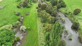 Delatite River Tree Planting [upl. by Giffer31]