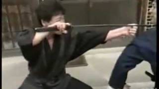 Ninjutsu with Jinichi Kawakami 2 [upl. by Adamok960]