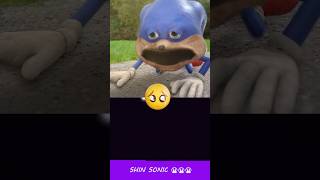 Poor Shin Sonic 😭😭😭😭😭  HorrorSkunx  Bouncing Square sonic [upl. by Latreese]