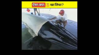 Whale ने 🐳😭 तड़प तड़पके जान दे दी  aviswasniya world shorts [upl. by Reehsab26]