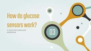 Glucose Sensors Explained [upl. by Yesllek505]