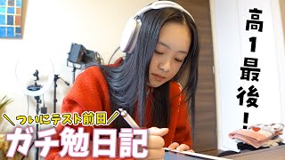 【ガチ勉日記】ついに明日決戦‼️高校1年の最後のテスト前日・・・ [upl. by Namyl]