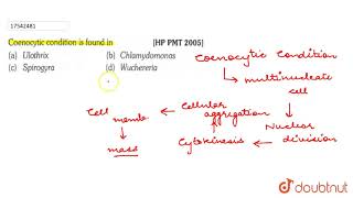 Coenocytic condition is found in [upl. by Mena]