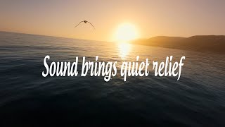 Sound brings quiet relief ☀️ Lofi for Peace Calm Comfort  Lofi hip hop  Lofi Beats [upl. by Nosral]