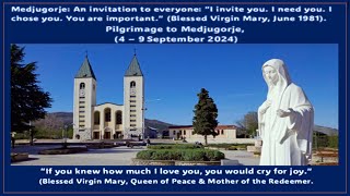 Pilgrimage to Medjugorje  A Talk by Ivan Dragicevic Medjugorje Visionary [upl. by Voccola946]